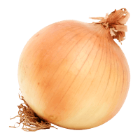 Onion